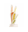 RKM Kitchen Knife Set - 3 Pcs