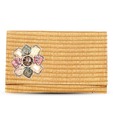Favola Charming Brown & Beige Clutch