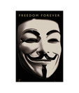 V For Vendetta Mask (24 x 36 Inches)