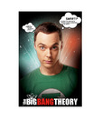 The Big Bang Theory Sheldon Quotes (24 x 36 Inches)
