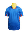 Puma Blue Collar Neck T Shirt