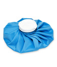 Shree Ice Bag