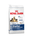 ROYAL CANIN Maxi Starter Mother & Babydog Dog Food 1kg (Pack Of 2)