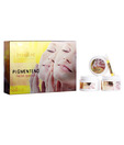 Aryanveda Pigmented Kit 100gm