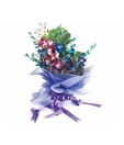 Mix Orchids in Special Packing
