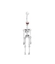 Revlis Red CZ Skeleton Silver Belly Stud