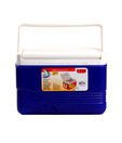 Princeware Chiller Insulated Ice Box- 6 L (Blue)