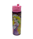 Rapunzel Princess Metal Sipper Bottle