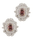 Styleos Clear Brown Stud Earrings