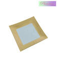 Plumeria Set Of 2 Glass Square Plates