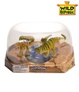 Wild Republic Eco Dome T-Rex