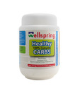 Wellspring Wholesome Protein
