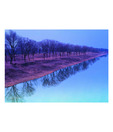 Artjini The Reflection Painting