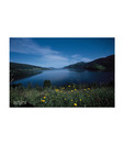 Artjini Serene Landscape Painting