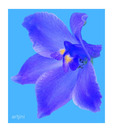 Artjini Blue Flower Close-up Painting