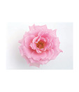 Artjini Pink Flower Close-up Painting