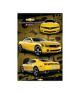 Camaro R.S (General Motors) (24 x 36 Inches)