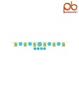 Party Bounty Customizable Turtle First Birthday Banner