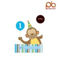 Party Bounty Packet Of Eight Cute Monkey Baby Boy Invitation Card 
