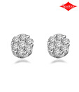 Sparkles Shiny Diamond & Gold Earrings