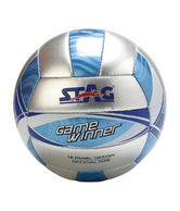 Stag Game Winner Volleyball