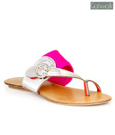 Catwalk Vivid Pink Flats