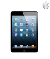 Apple iPad mini with Wi-Fi 16GB - Black & Slate