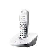 Panasonic KX-TG3600SX Cordless Landline Phone (Silver)