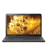 Sony VAIO E15131 Laptop (Intel PDC 2020M- 2GB RAM- 320GB HDD- 15.5 Inches- Win8) (Black)