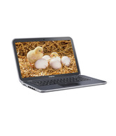 Dell Inspiron 15z Ultrabook 5523 (Intel Core i5 3337U - 4GB RAM- 500GB + 32GB mSATA Hard Disk Drive- 15.6 Inch HD Screen- Windows 8, 64-Bit- NVIDIA GeForce GT630M 2GB Graphics) (Silver)