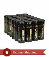 Wilson US Open Tennis Balls (24  can)