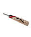 Slazenger V-100 Performance  English Willow Cricket Bat