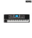 Korg Micro ARRANGER 61-Key Professional Arranger
