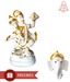SRMAH Hanuman Idol