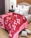 HandloomWala Floral Double Bed AC Blanket - Maroon