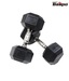 Baspo Hexagonal Dumbells 20 Kg(10 kg Each)