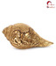 Home Sparkle Golden Brass Shankh (Vishnu & Lakshmi)