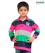 Catmoss Vibrant Striped T-Shirt For Kids