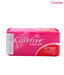 Carefree Panty Liners 20