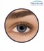 Freshlook Colour Blends (2 Lens Pack) Sterling Grey