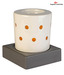Fragrance World India Non Electric Diffuser