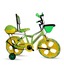 Everready Stunner DX Bicycle-For Boys (16 Inches)