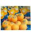 GKI Euro Star Table Tennis Ball (2 dozen)