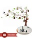 Vedi Toys Photo Tree Wall Decal - Buy 1 Get 1 Free