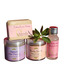 Nirvaaha Hair & Body Care Combo 10