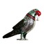 Ankit Hanging Parrot