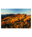 Artjini Mountain Landscape III Painting