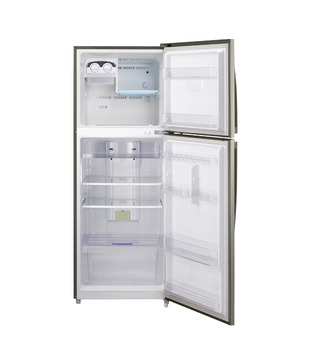 Samsung RT45LSPN1/XTL Double Door 400 Ltr Refrigerator Platinum Inox