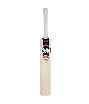 GM Flare Select Kashmir Willow Cricket Bat