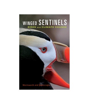 Winged Sentinels